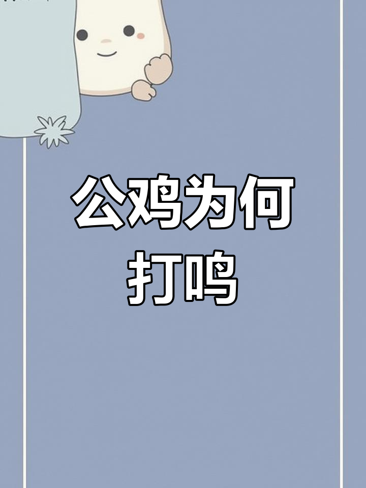 公鸡打鸣的秘密,揭秘为什么天亮前会叫?