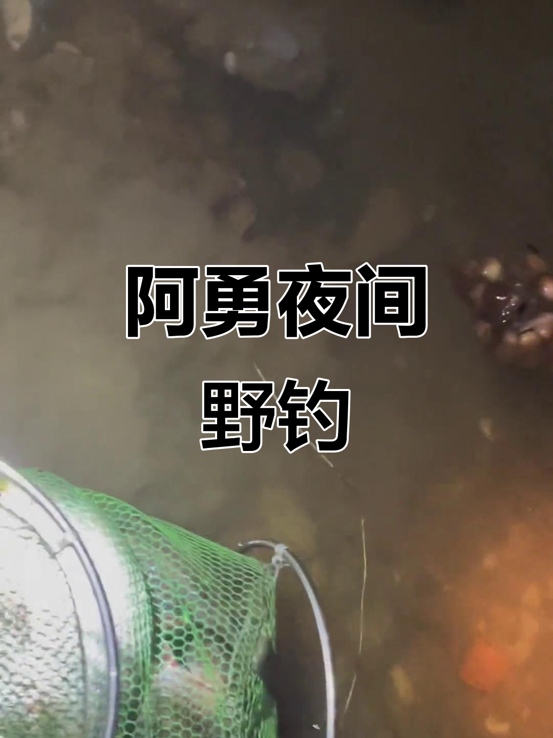 夜钓阿勇户外,真实体验野外钓鱼乐趣