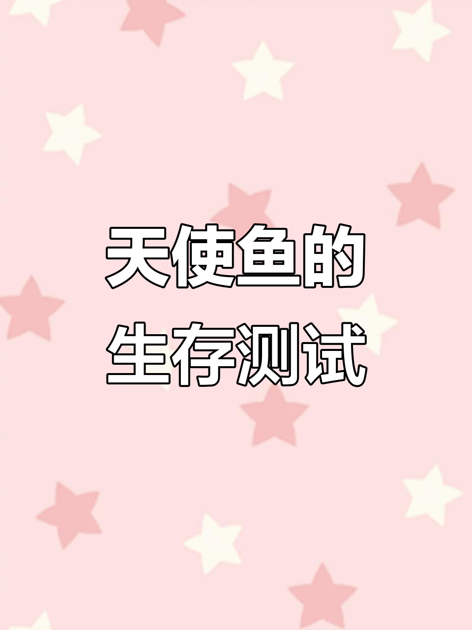 担心乌龟吃鱼?试试绿色天使,墨蛋亲测它完全无视!