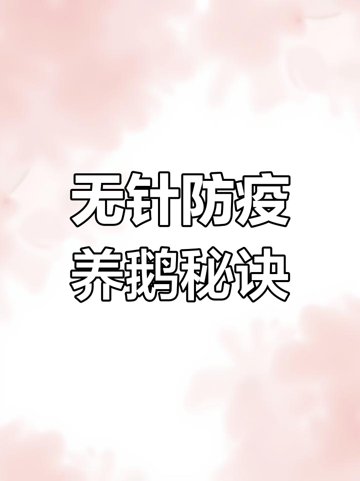 全程不打针防疫，鹅苗健康养殖技巧分享