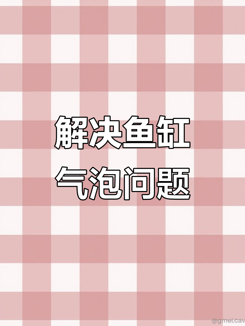 鱼缸气泡增多?可能是这个原因,解决方法超简单