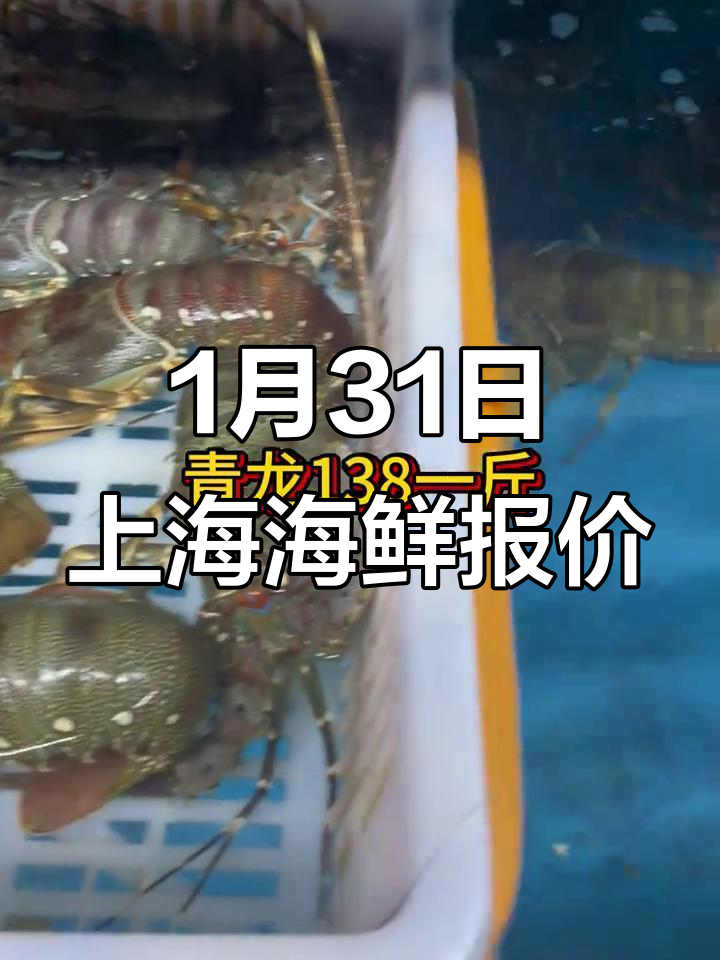 1月31日上海江阳市场海鲜价揭秘，帝王蟹到青衣全有