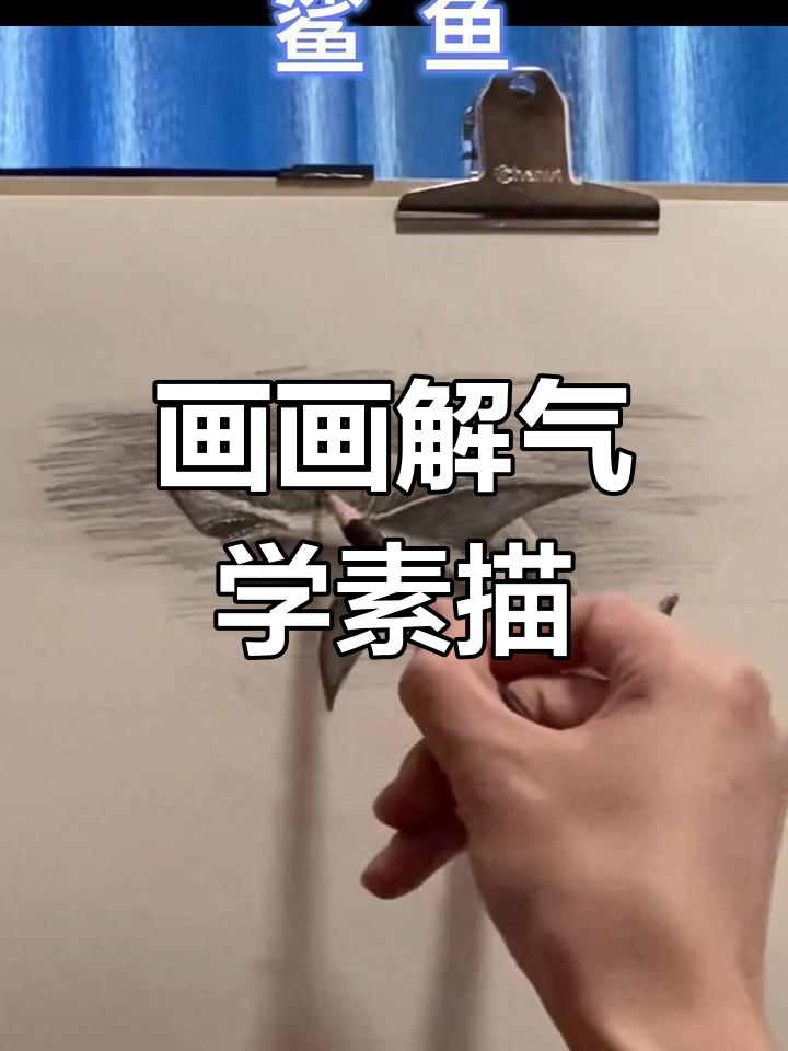 被气到画鲨鱼，轻松素描过程大揭秘