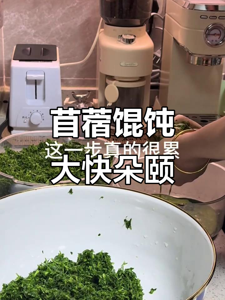 苜蓿季节到,馄饨美味来袭!