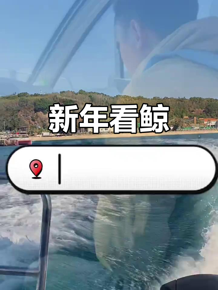 涠洲岛观鲸之旅:新年惊喜,鲸鱼浮出水面