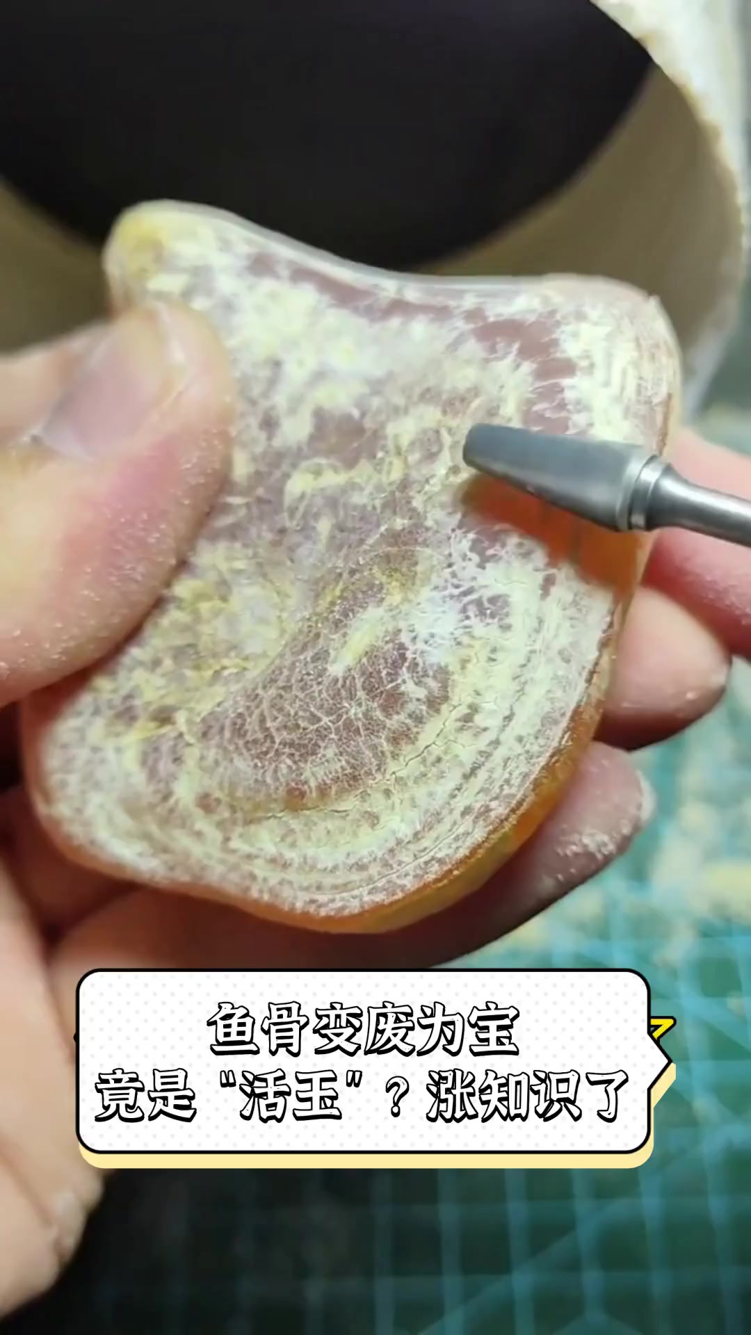 鱼骨变废为宝,竟是“活玉”?涨知识了