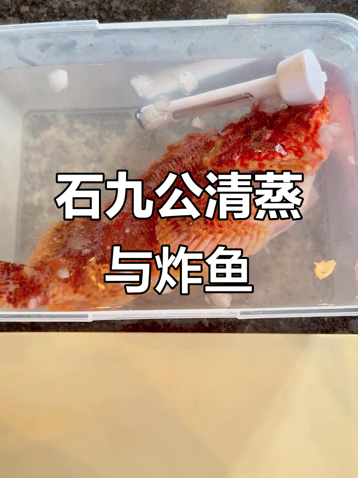 清蒸石九公鱼头配日式炸鱼块，鲜香四溢让人无法抗拒