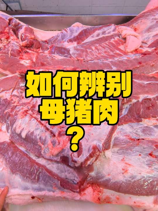肉眼辨母猪肉：看排骨软骨是否钙化