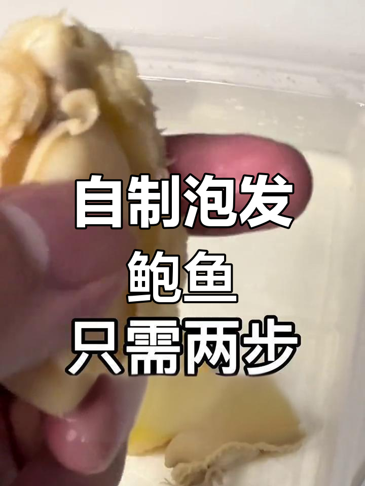 轻松在家泡发鲍鱼,简单两步搞定