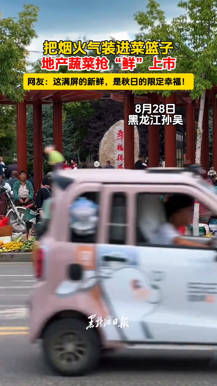 把烟火气装进菜篮子，地产蔬菜抢“鲜”上市