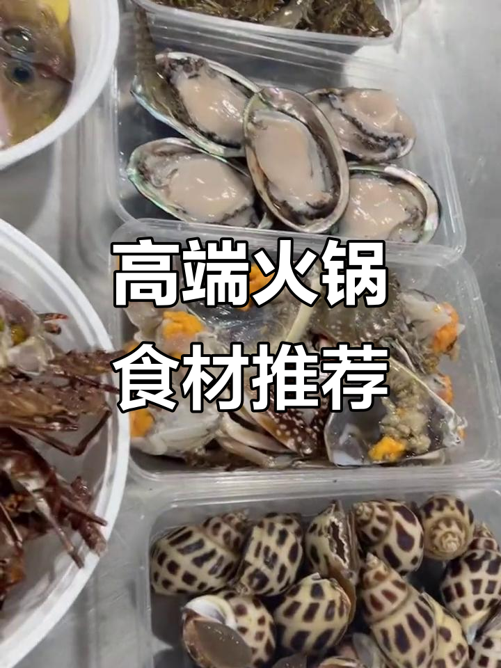 火锅必备!野生黑面鲷石斑鱼与黄金宝响螺,冷天最合适的豪华聚餐