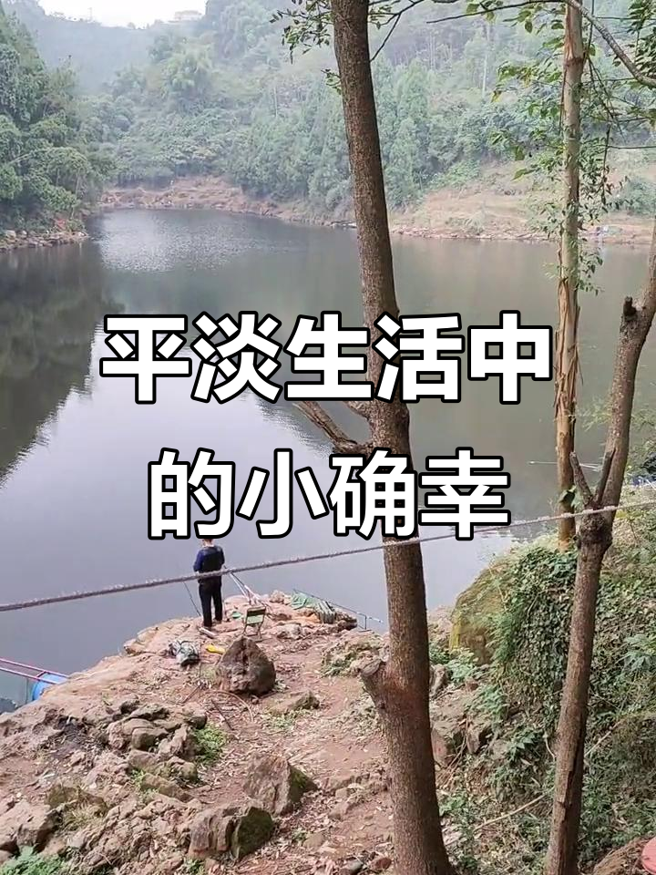 平凡生活里的美味时光,回锅肉、黄瓜炒毛豆等你来尝