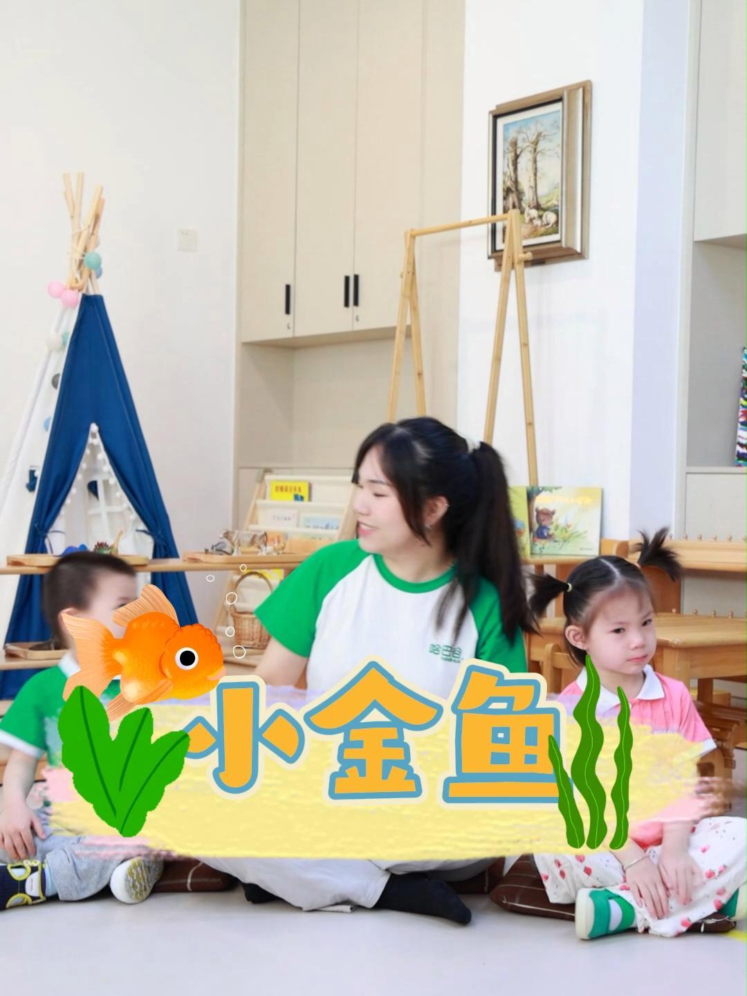 《小金鱼》托育早教 托班日常 幼儿教育 亲子陪伴记录 孩子们棒棒哒 儿歌律动 深圳托班 哈