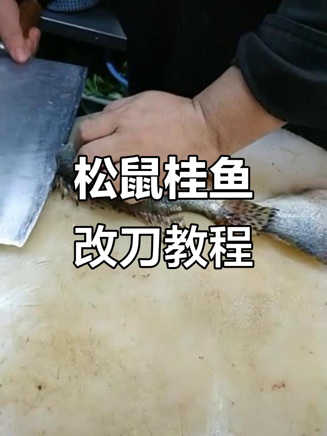 松鼠桂鱼改刀技巧大揭秘,轻松去骨切花刀