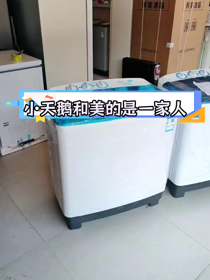小天鹅与美的,其实是同一家!
