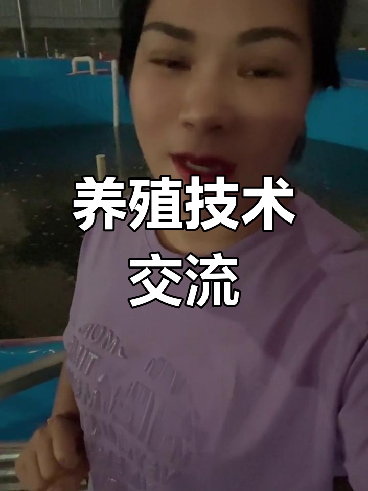 探访云浮养殖场,了解高效鱼类饲养技巧与经验分享