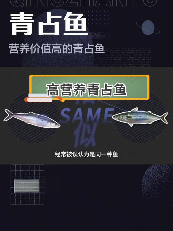 青占鱼的营养价值与食用注意事项