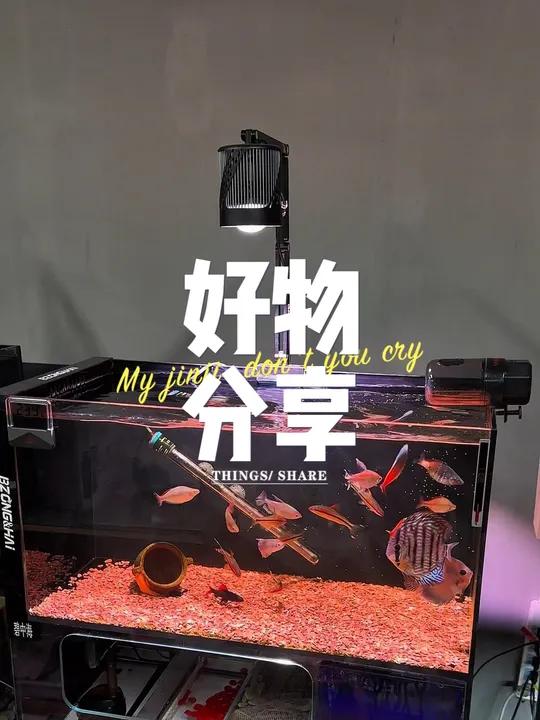 自动喂食器 鱼缸自动喂食器、出差不在家小鱼不饿必备