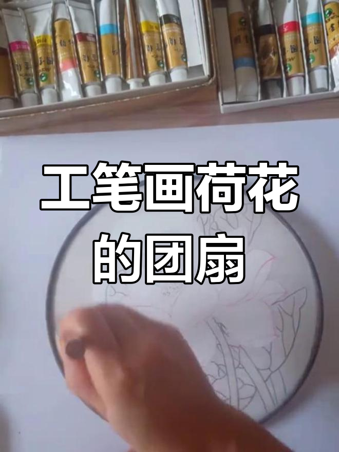 荷花工笔团扇绘制技巧,步骤详解