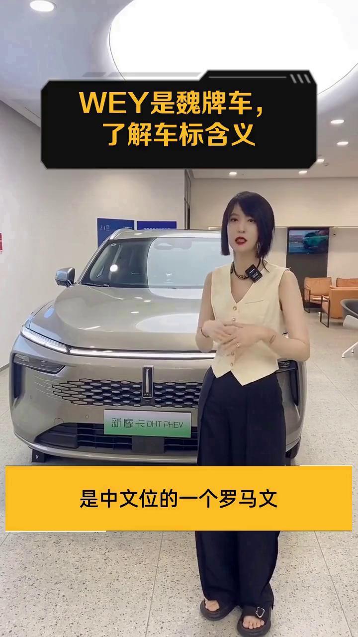 WEY是魏牌车,了解车标含义