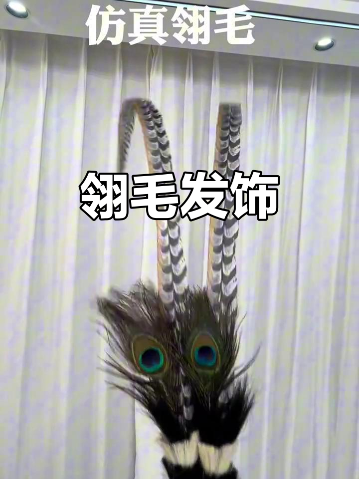 野鸡毛头饰,打造独特翎羽风格
