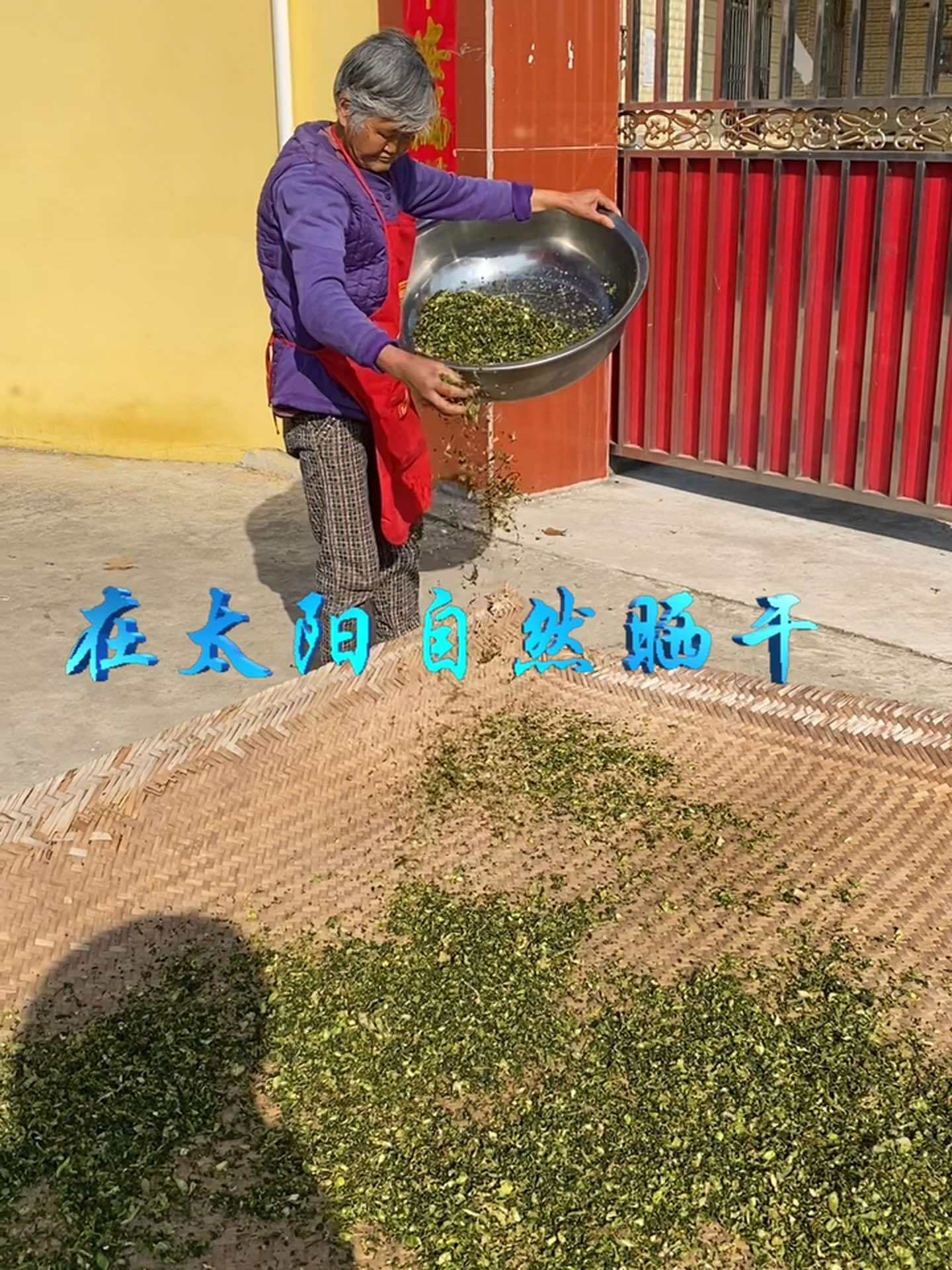 老妈种了一亩地青菜,没人收购就自己洗干净做成了梅干菜用来蒸梅菜扣肉怎么样喜欢吗?自己种的纯