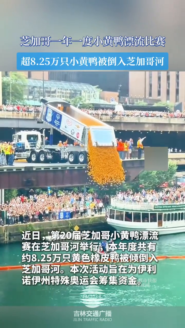 芝加哥一年一度小黄鸭漂流比赛举行