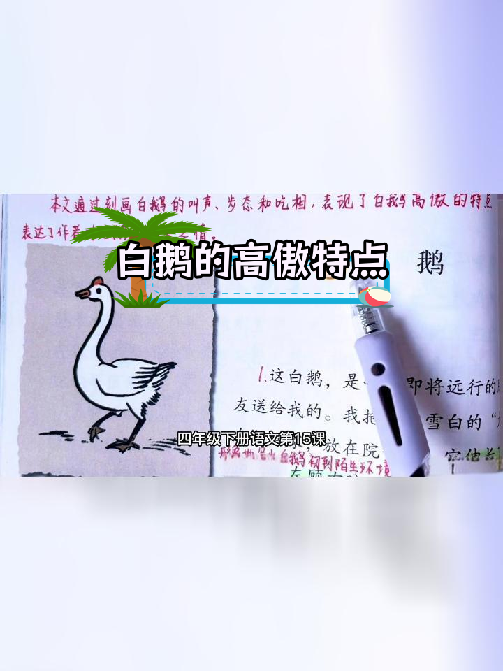四年级下册语文《白鹅》课文解析,高傲性格展现