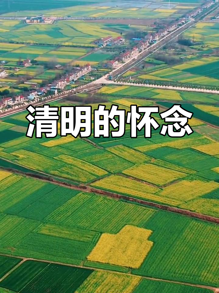 清明时节,思念如影,坟前祭奠,代代传承