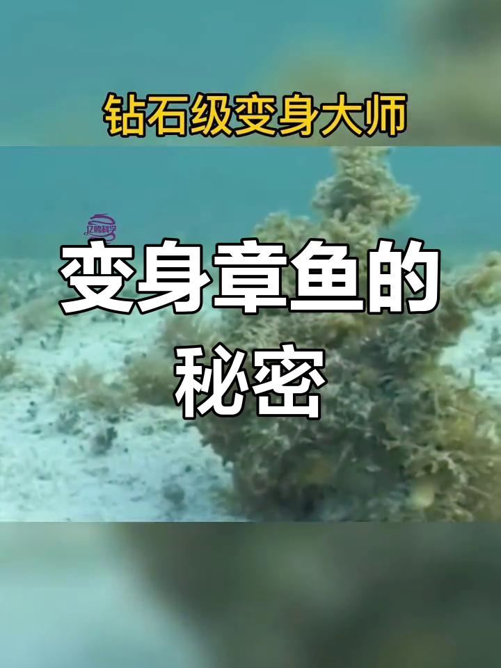 拟态章鱼:瞬间变身的海洋魔术师