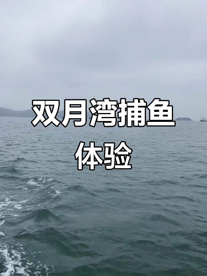 惠州双月湾出海捕鱼,渔民生活大揭秘
