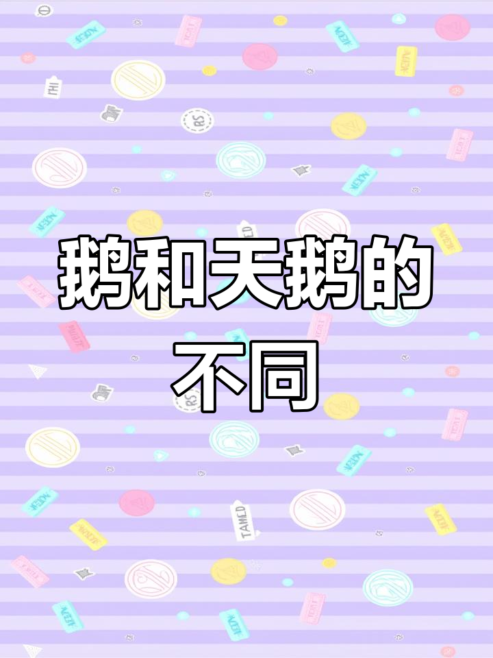鹅与天鹅的区别解析