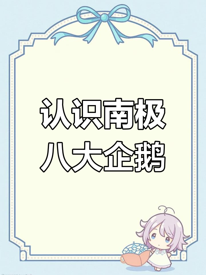 南极8种企鹅大揭秘,个性十足超有趣