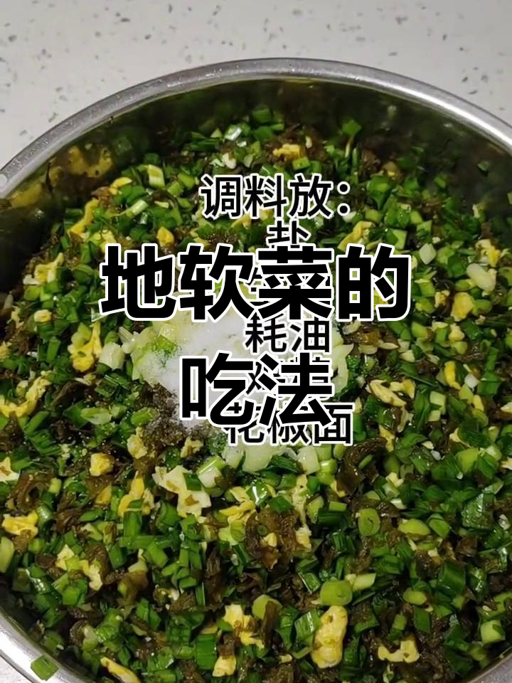 你们知道地软菜怎么吃吗?包饺子包子超美味,值得一试!