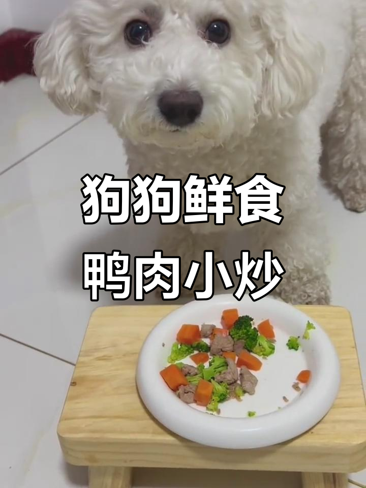 小狗餐厅鸭肉小炒,西兰花胡萝卜搭配更美味