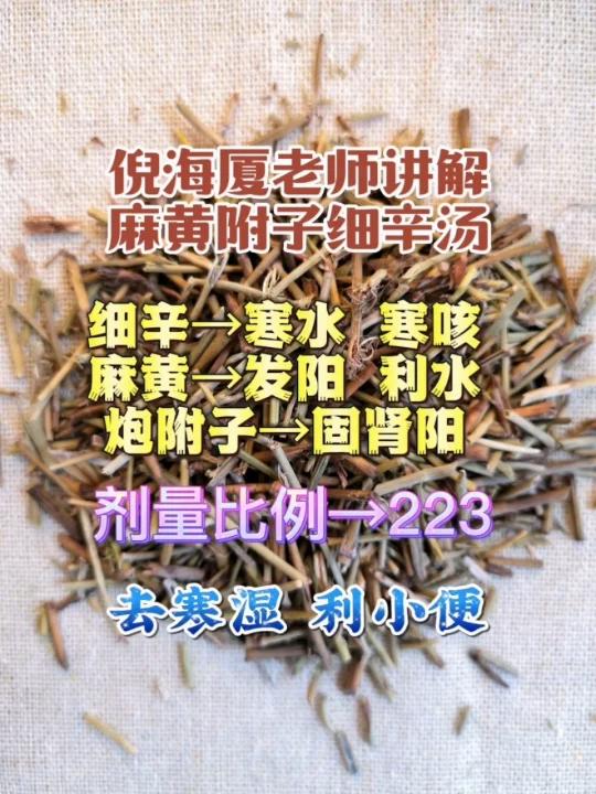 麻黄附子细辛汤!