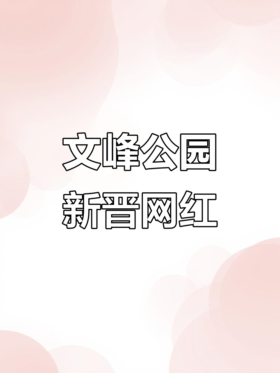 阜阳文峰公园萌鸭来袭,小溪边叫声不断太可爱了!