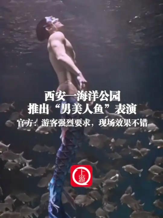 1月23日(采访),西安一海洋公园推出“男美人鱼”表演,官方:游客强烈要求,现场效果不错(
