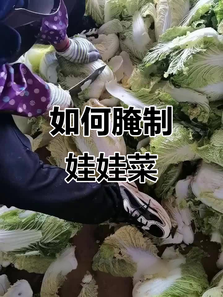 娃娃菜腌制技巧大揭秘,轻松做出美味泡菜