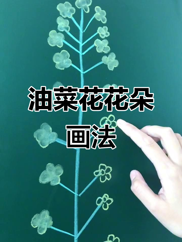 幼儿园小朋友必学油菜花简笔画,简单又有趣!