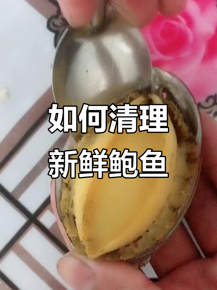 清洗鲍鱼全攻略,教你轻松去内脏和嘴巴