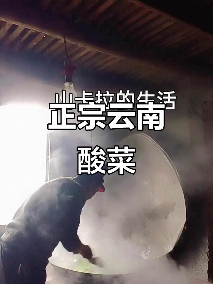 云南大缸酸菜,味道一绝,过年必备美味