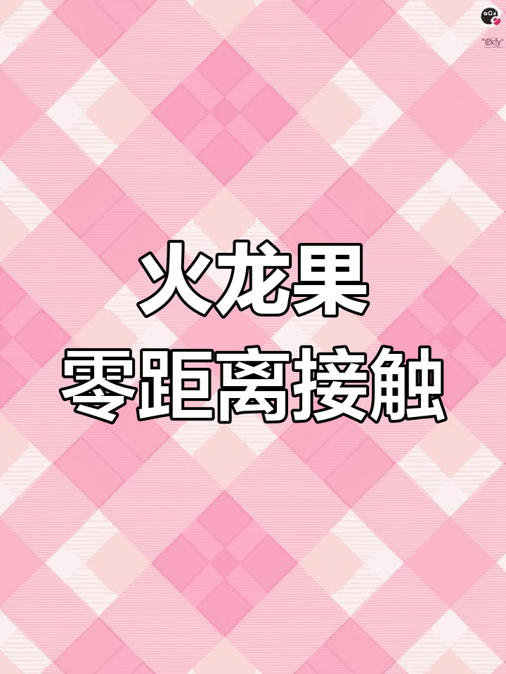 火龙果成熟,孟津朱寨村采摘体验