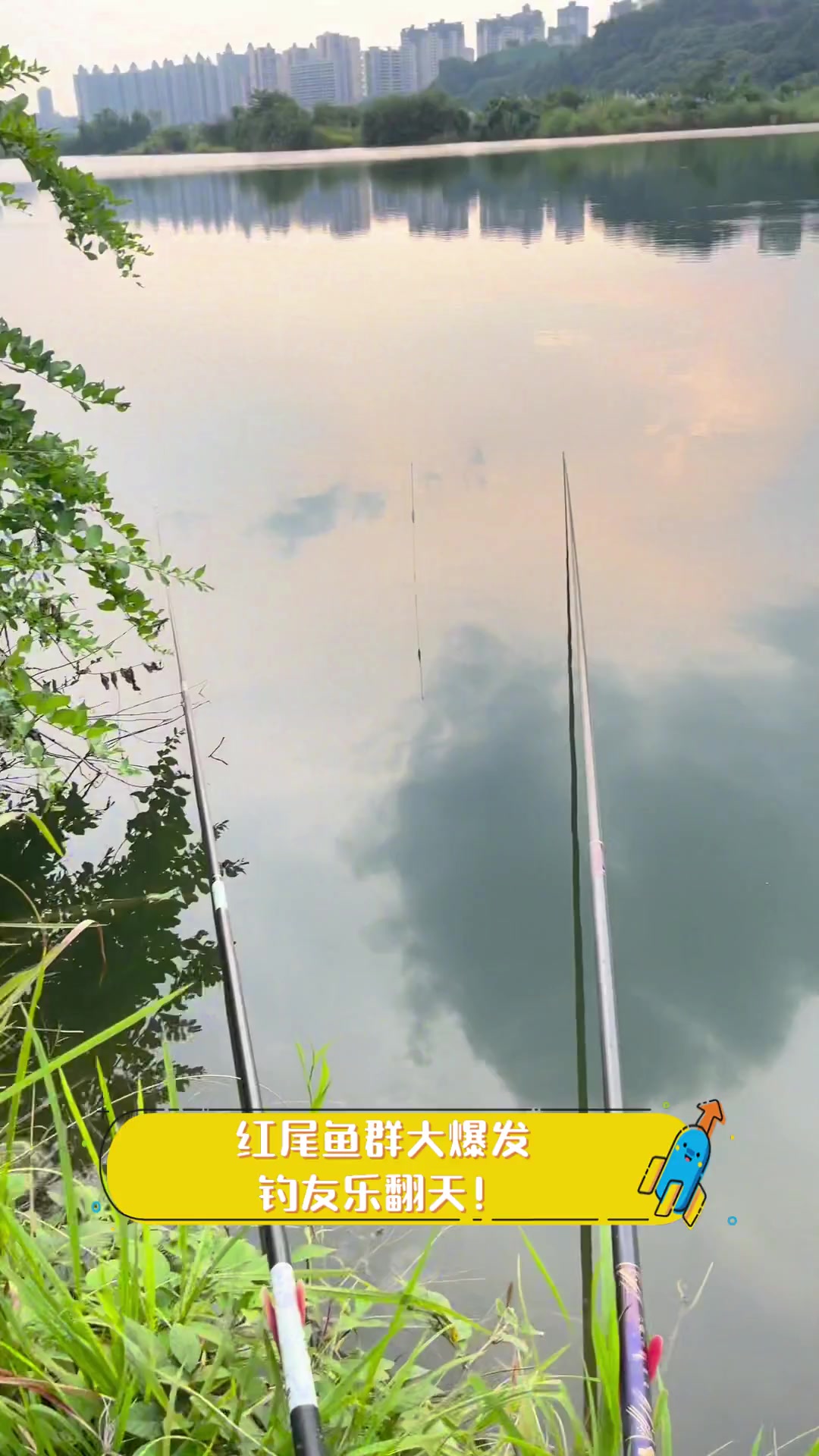 红尾鱼群大爆发,钓友乐翻天!