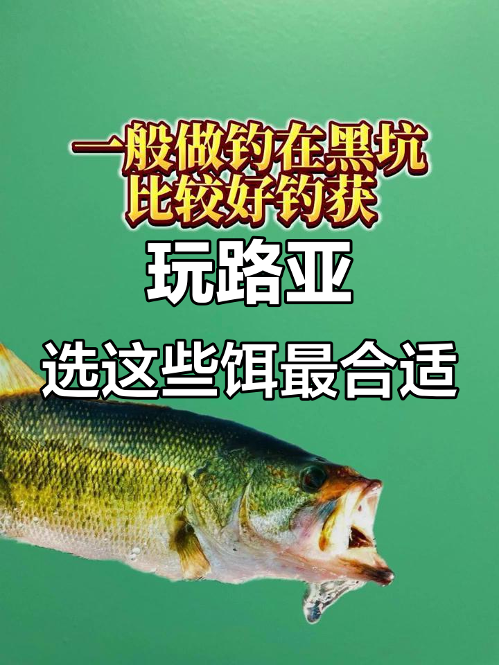 路亚钓什么鱼?选对饵和操作手法轻松搞定