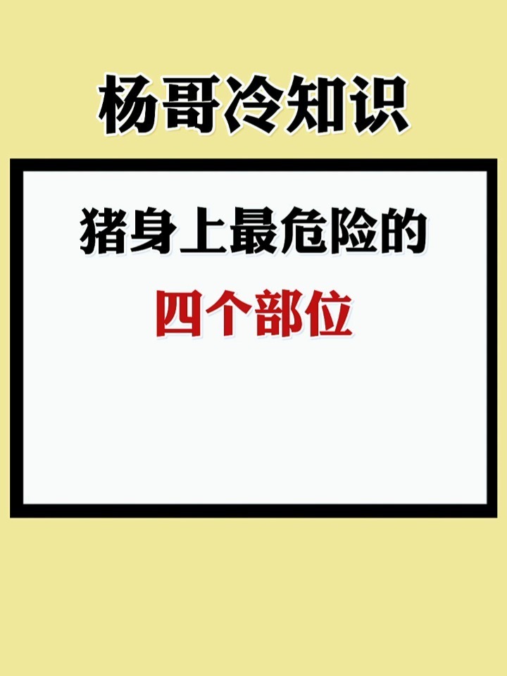 猪身上最危险的四个部位,千万不要吃!