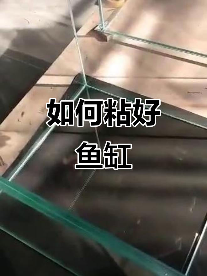 粘鱼缸技巧大揭秘,如何避免玻璃胶断裂