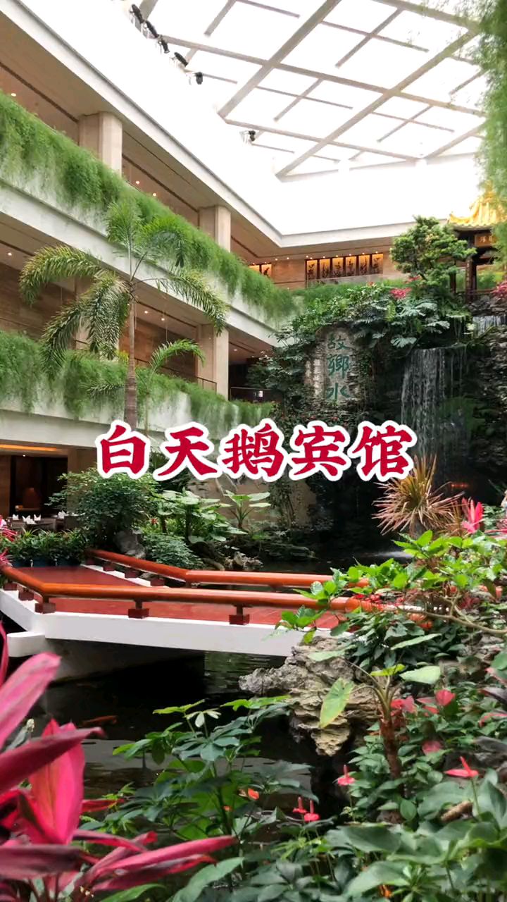 广州沙面白天鹅宾馆,国内第一间五星级酒店,成为游客观光打卡点