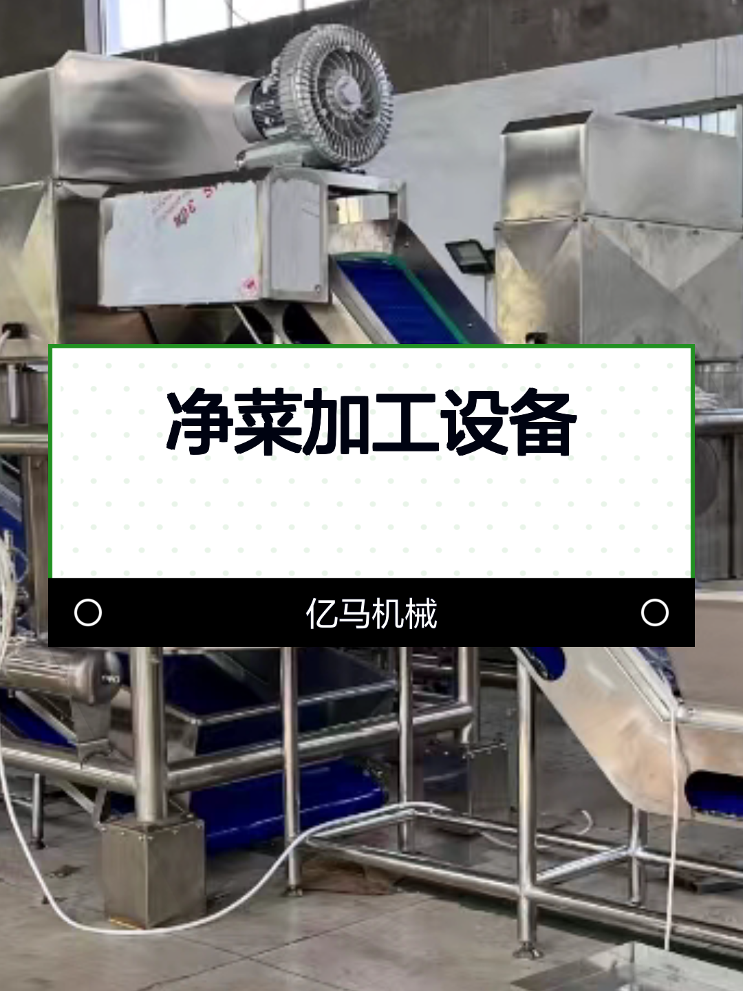6.16净菜加工设备