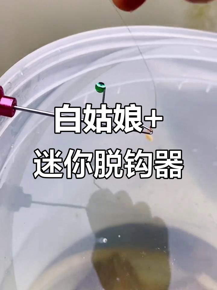 鱼钩轻松取,白姑娘活体饵搭配迷你脱钩器